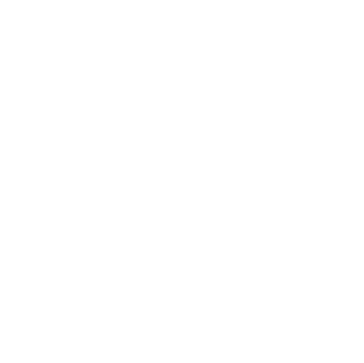 Vaissel Logo
